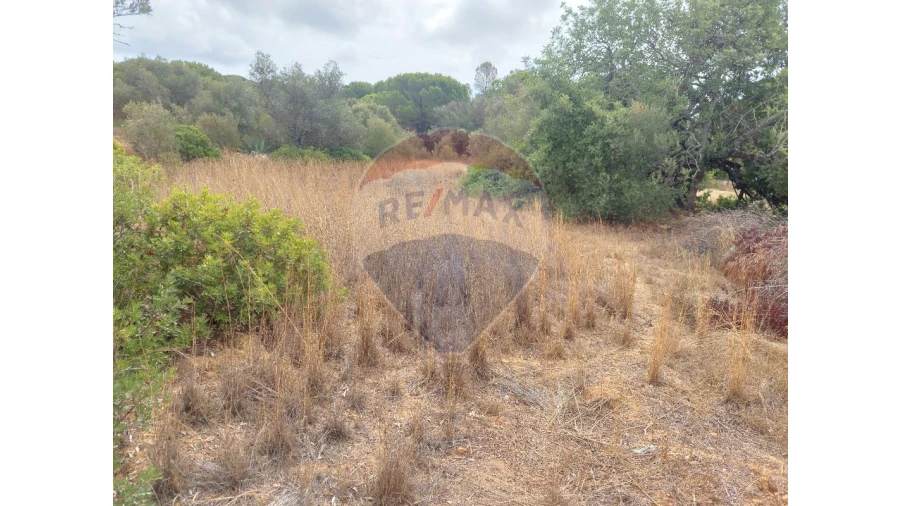 Terreno P/ Prédio para Venda em Almancil Foto 1