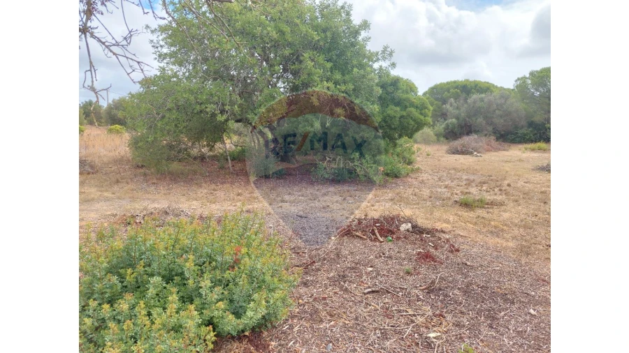 Terreno P/ Prédio para Venda em Almancil Foto 4