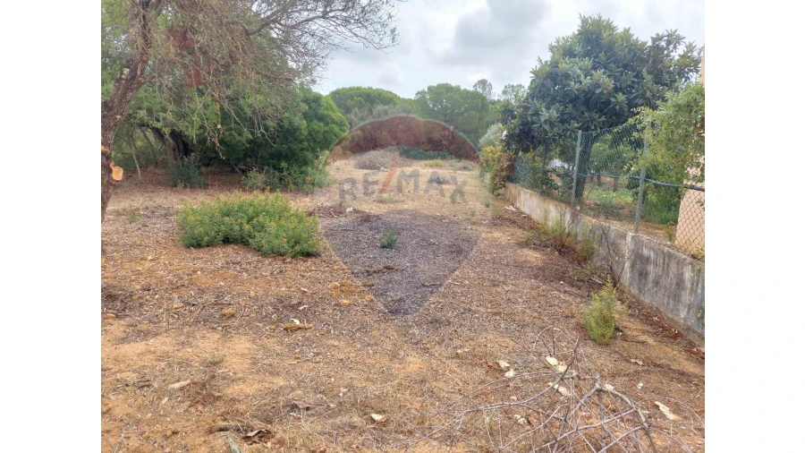 Terreno P/ Prédio para Venda em Almancil Foto 3