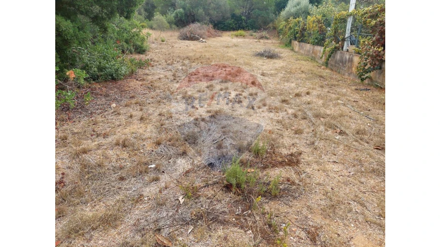 Terreno P/ Prédio para Venda em Almancil Foto 7