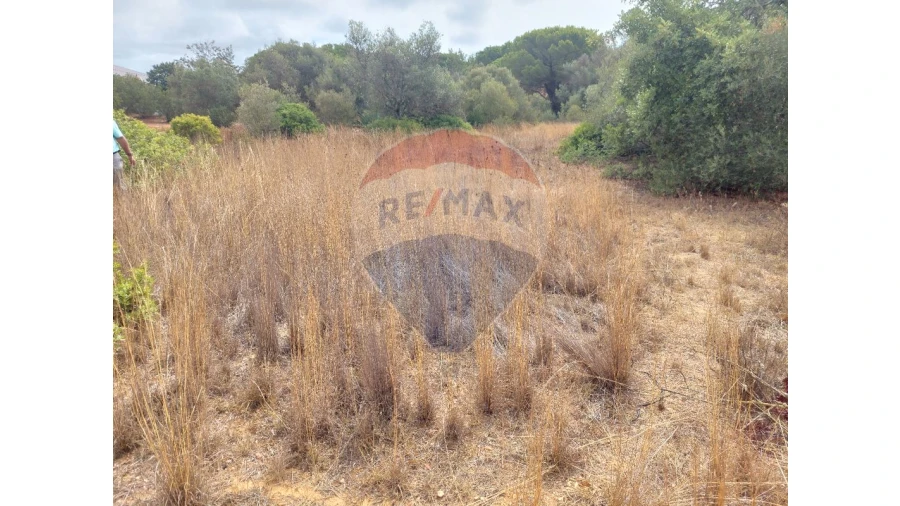 Terreno P/ Prédio para Venda em Almancil Foto 8