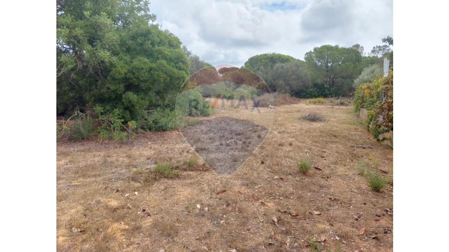 Terreno P/ Prédio para Venda em Almancil Foto 6
