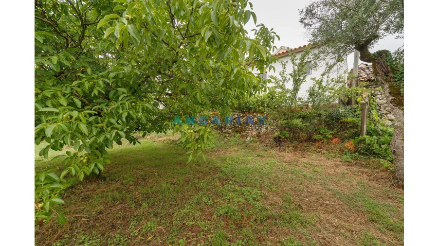 Moradia T2 para Venda em Arrimal e Mendiga Foto 28