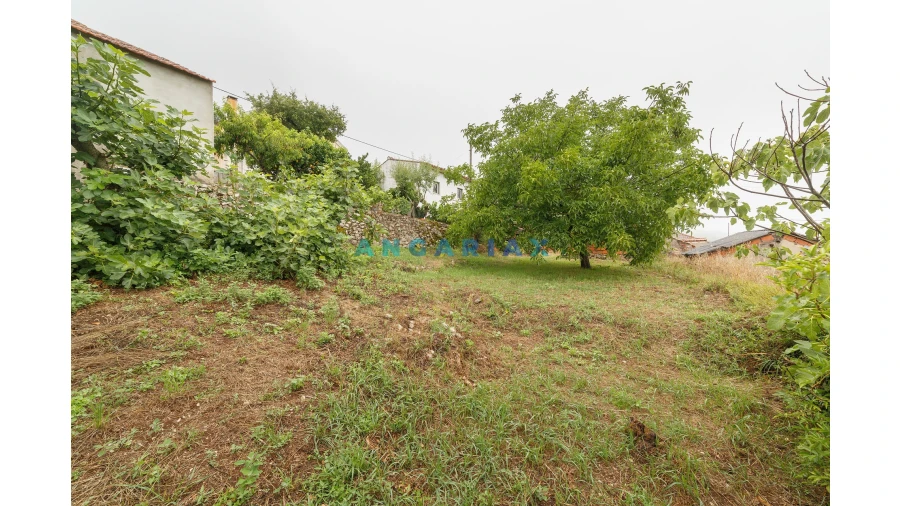 Moradia T2 para Venda em Arrimal e Mendiga Foto 6