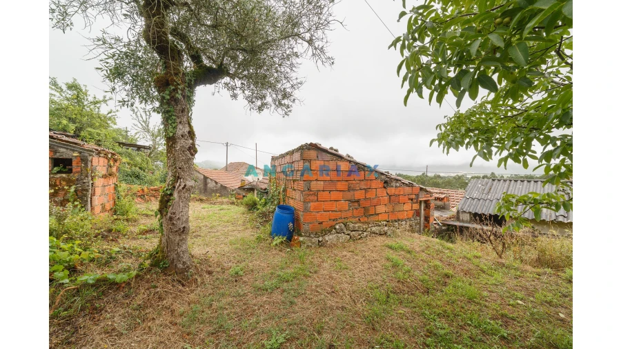 Moradia T2 para Venda em Arrimal e Mendiga Foto 29