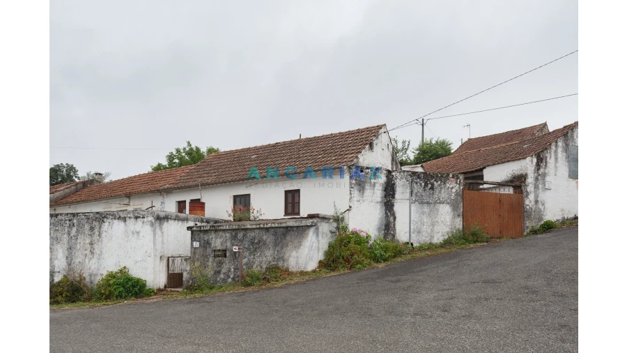 Moradia T2 para Venda em Arrimal e Mendiga Foto 23