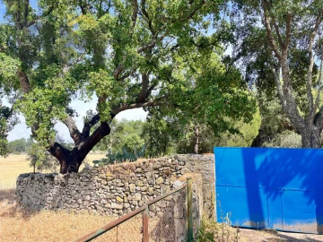 Quinta T0 para Venda em Alcains