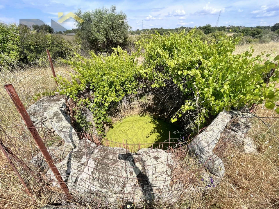 Quinta T0 para Venda em Alcains Foto 17