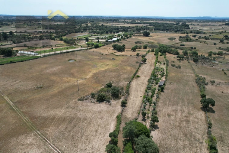 Quinta T0 para Venda em Alcains Foto 21