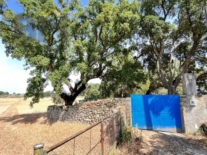 Quinta T0 para Venda em Alcains Foto 20