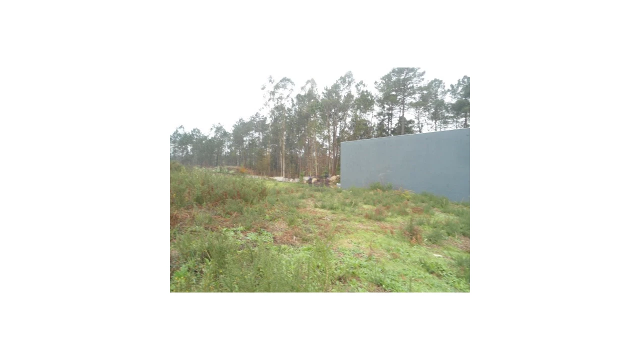 Terreno para Venda em Forjães Foto 2