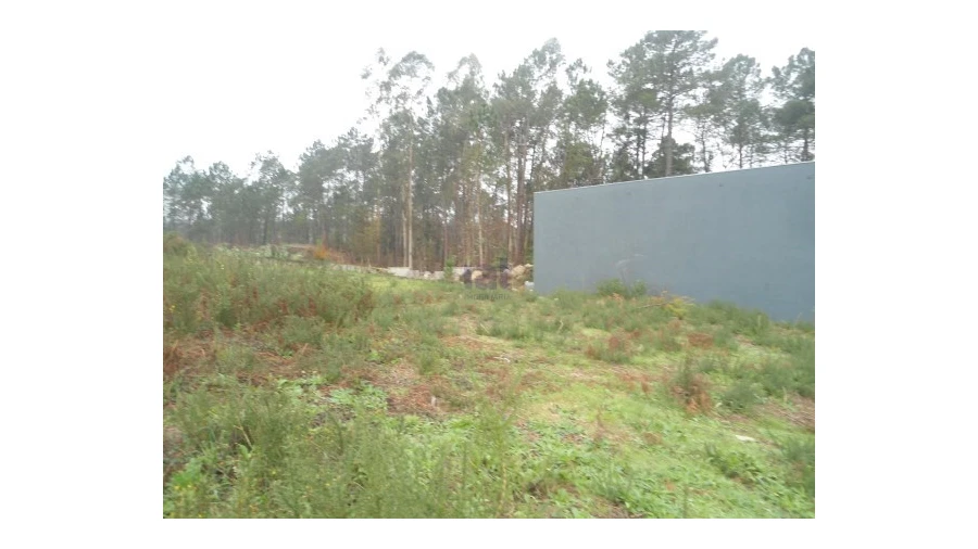 Terreno para Venda em Forjães Foto 2
