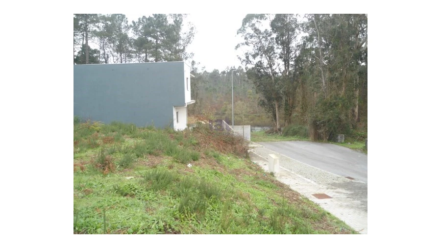 Terreno para Venda em Forjães Foto 3