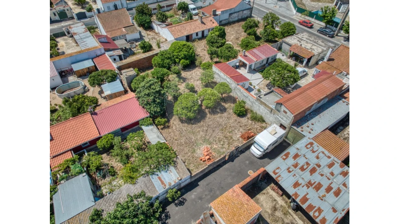Terreno para Venda em Muge Foto 14