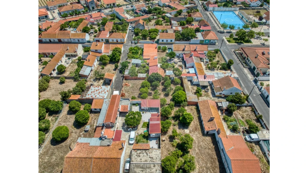 Terreno para Venda em Muge Foto 5