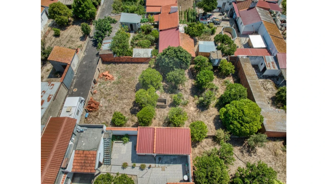 Terreno para Venda em Muge Foto 15