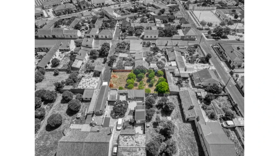 Terreno para Venda em Muge Foto 4