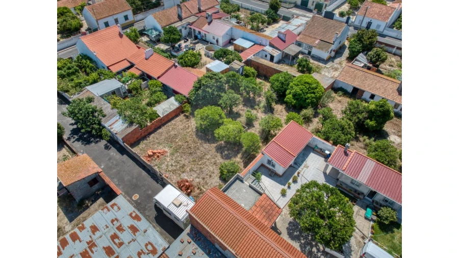 Terreno para Venda em Muge Foto 11