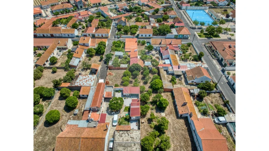 Terreno para Venda em Muge Foto 5