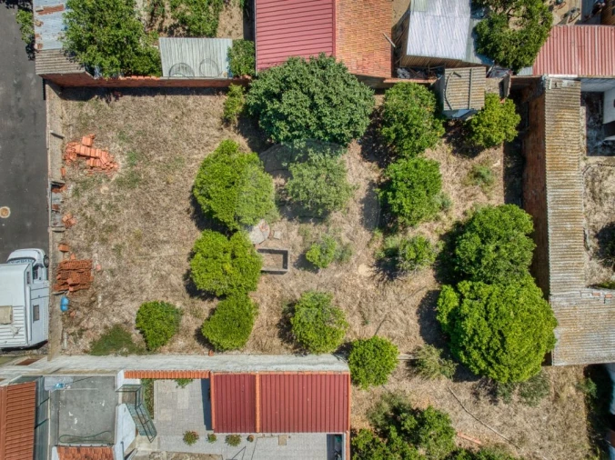 Terreno para Venda em Muge Foto 10