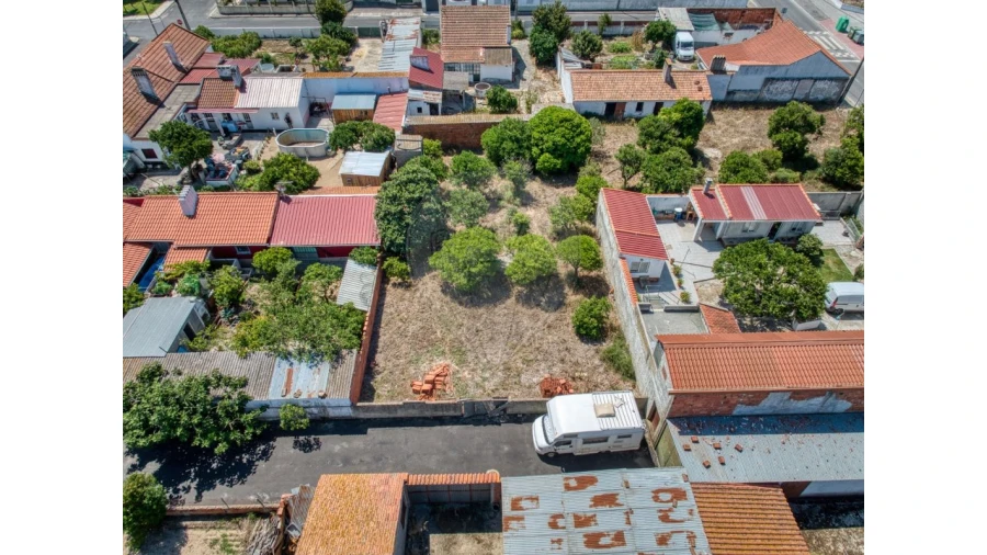 Terreno para Venda em Muge Foto 13