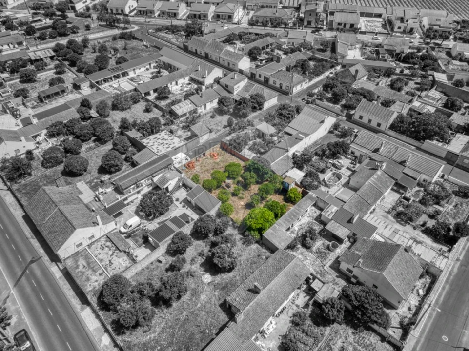 Terreno para Venda em Muge Foto 1