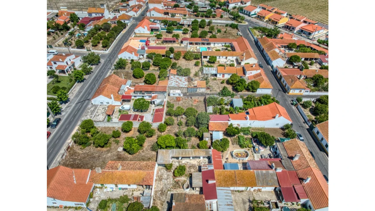 Terreno para Venda em Muge Foto 2