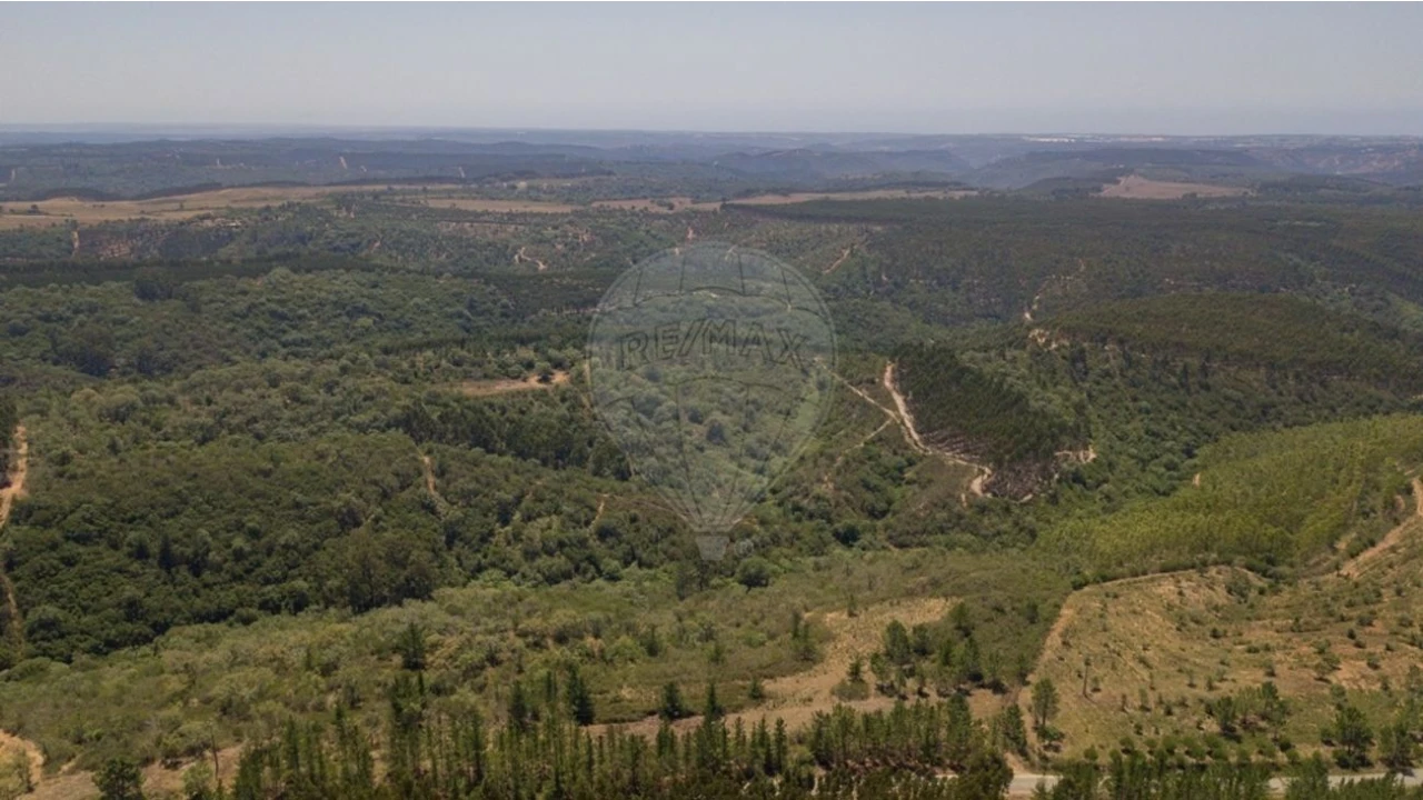 Terreno para Venda em São Teotónio Foto 10