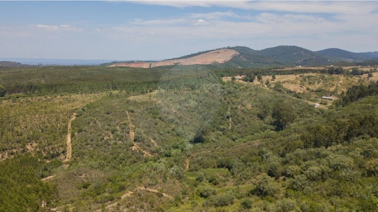 Terreno para Venda em São Teotónio Foto 19