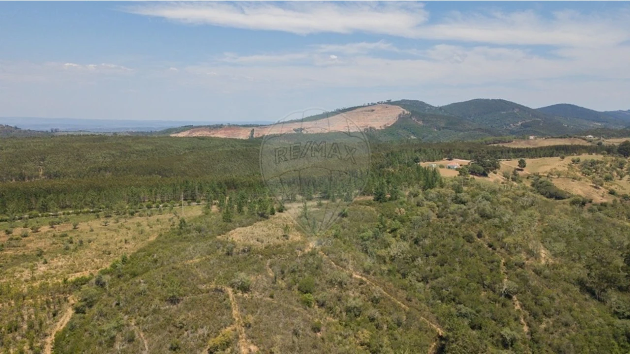 Terreno para Venda em São Teotónio Foto 11