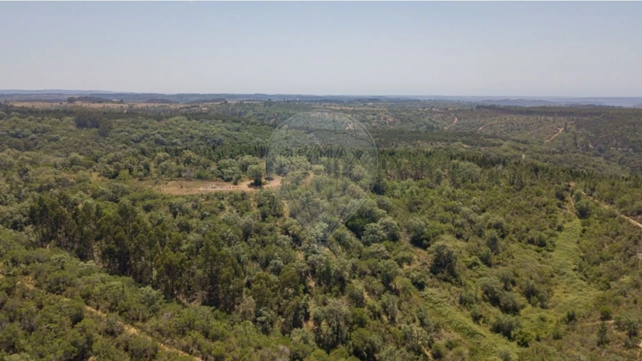 Terreno para Venda em São Teotónio Foto 1