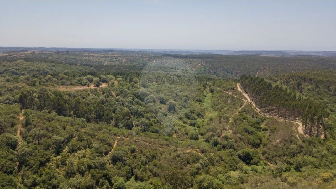 Terreno para Venda em São Teotónio Foto 7