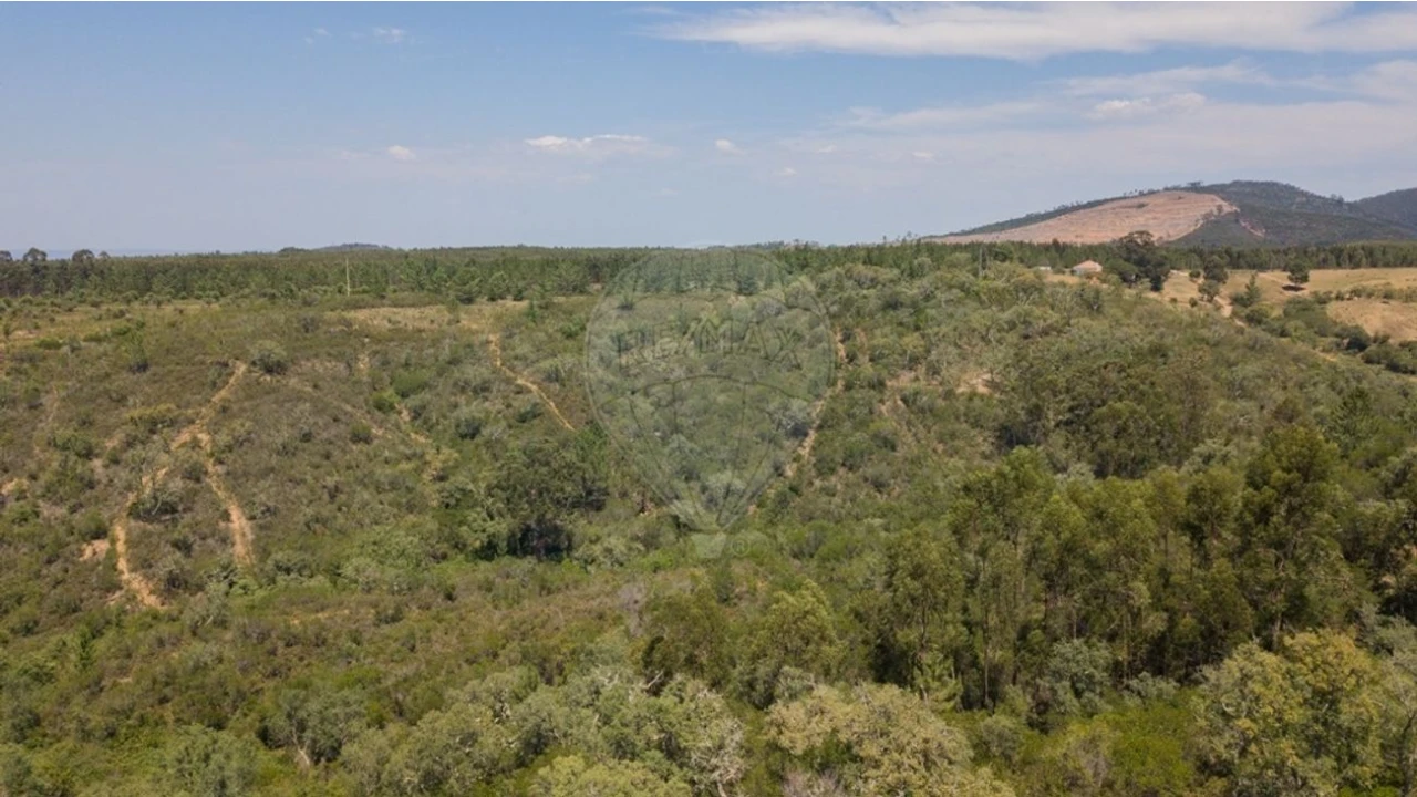 Terreno para Venda em São Teotónio Foto 2