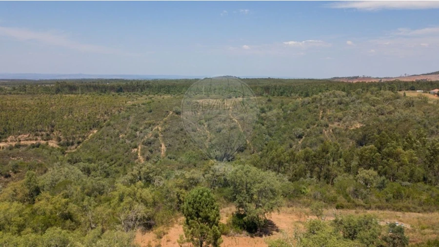 Terreno para Venda em São Teotónio Foto 13