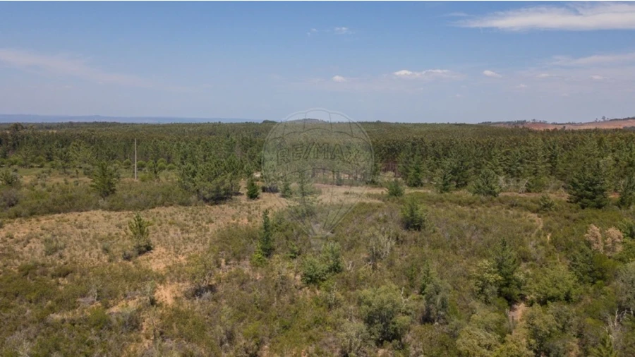 Terreno para Venda em São Teotónio Foto 20