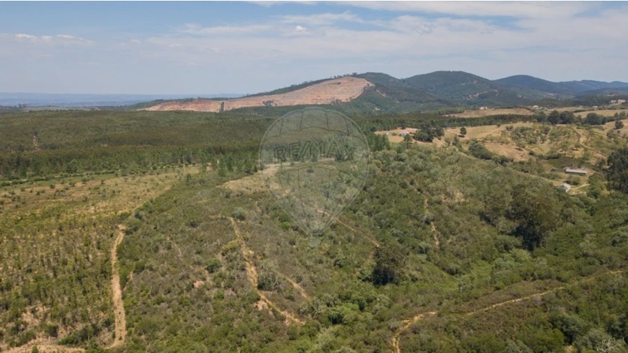 Terreno para Venda em São Teotónio Foto 12