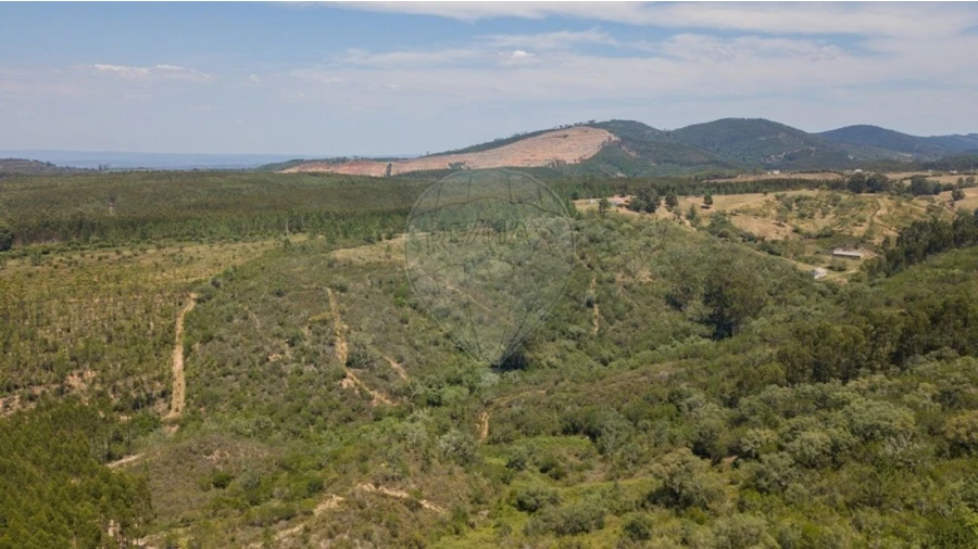 Terreno para Venda em São Teotónio Foto 19