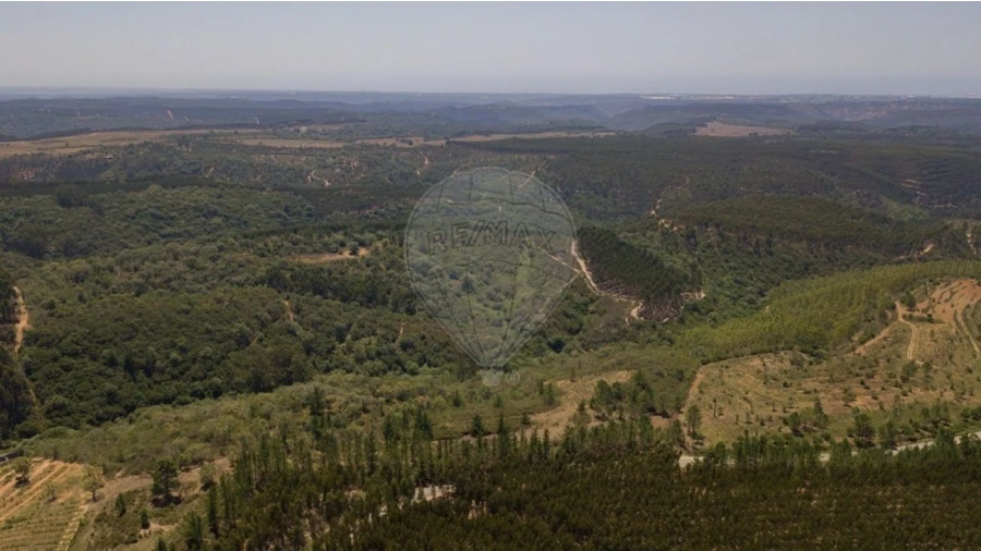 Terreno para Venda em São Teotónio Foto 4