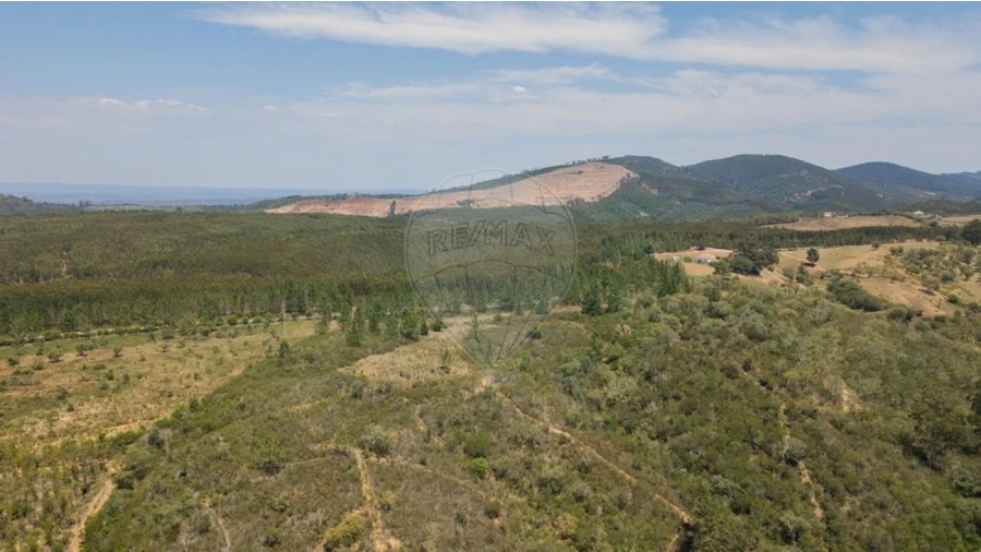 Terreno para Venda em São Teotónio Foto 11