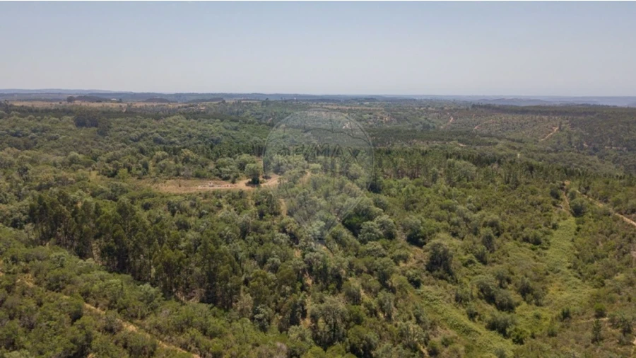 Terreno para Venda em São Teotónio
