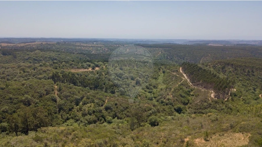 Terreno para Venda em São Teotónio Foto 5