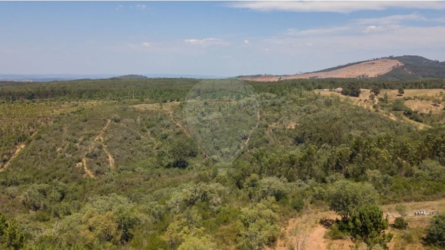 Terreno para Venda em São Teotónio Foto 15