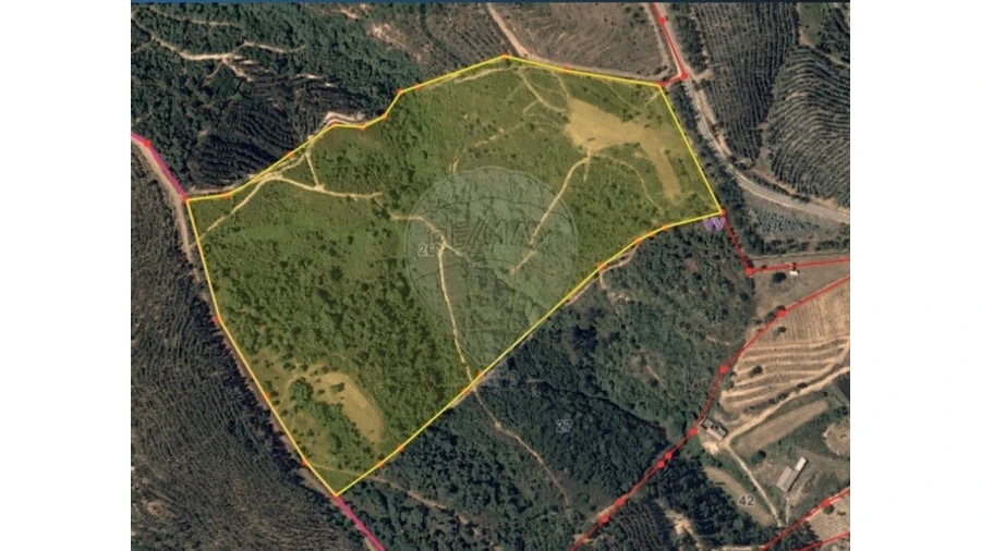 Terreno para Venda em São Teotónio Foto 3