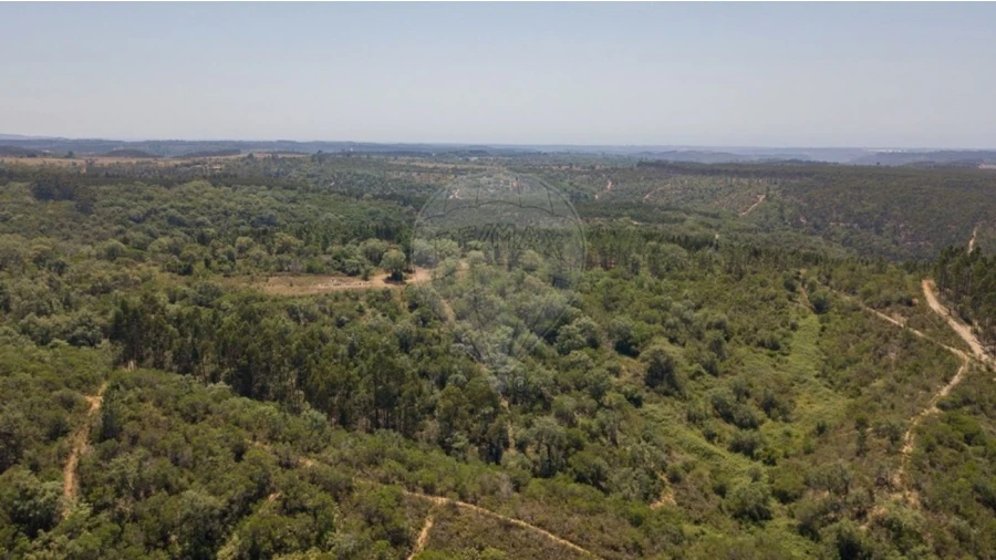 Terreno para Venda em São Teotónio Foto 8