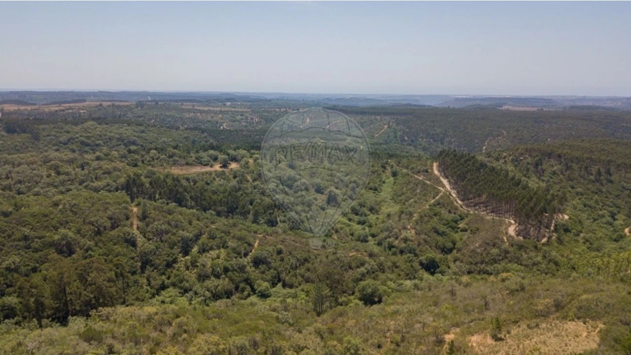 Terreno para Venda em São Teotónio Foto 5