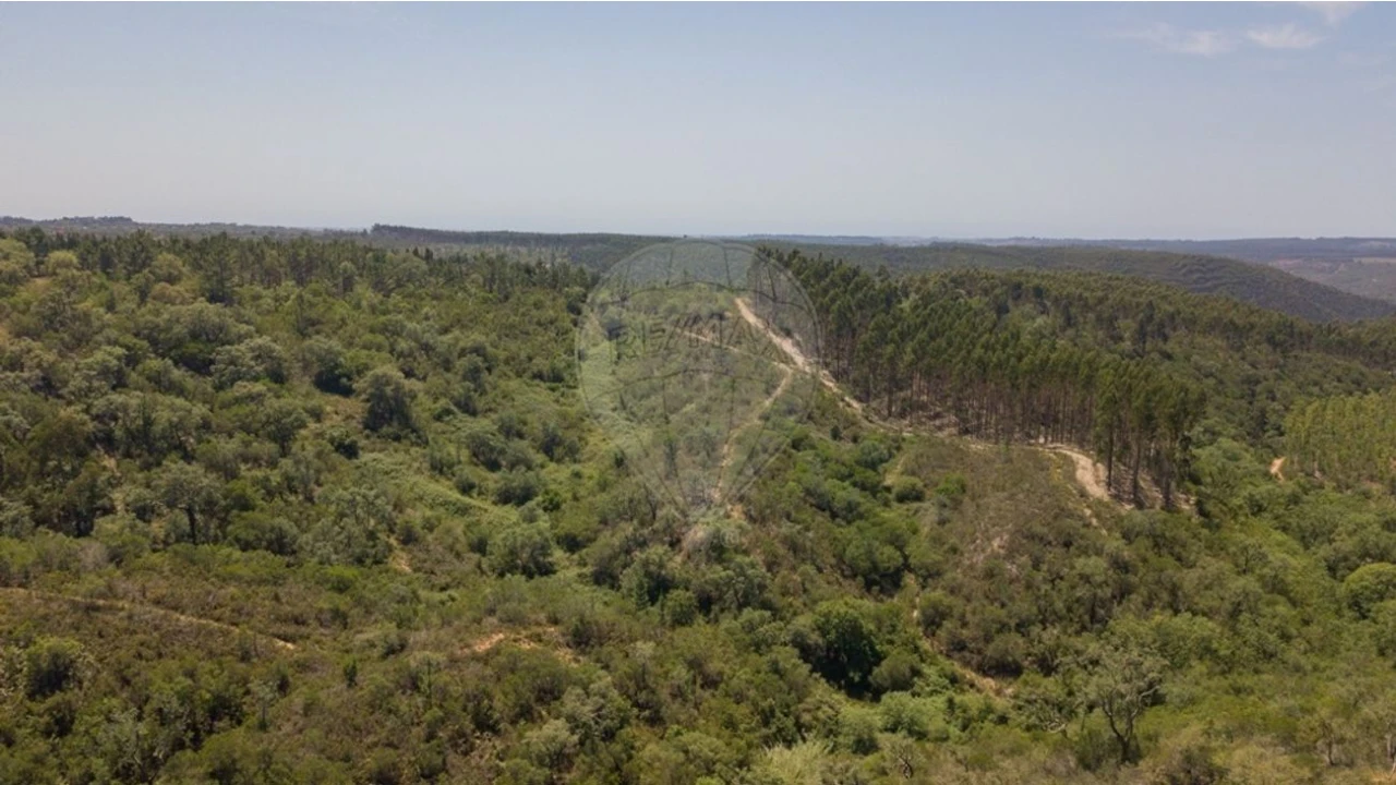 Terreno para Venda em São Teotónio Foto 22
