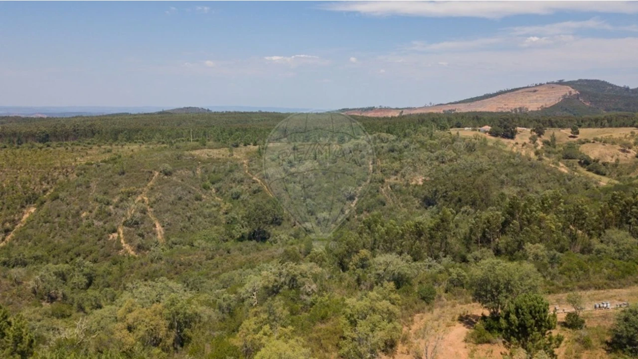 Terreno para Venda em São Teotónio Foto 15