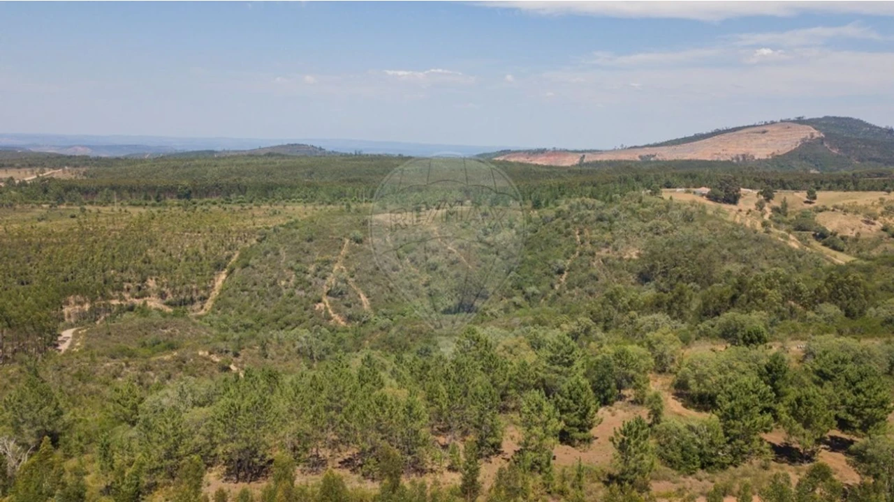 Terreno para Venda em São Teotónio Foto 14