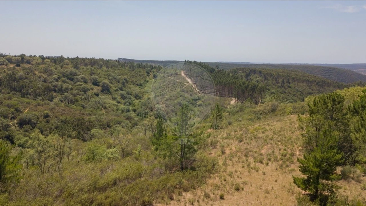 Terreno para Venda em São Teotónio Foto 24