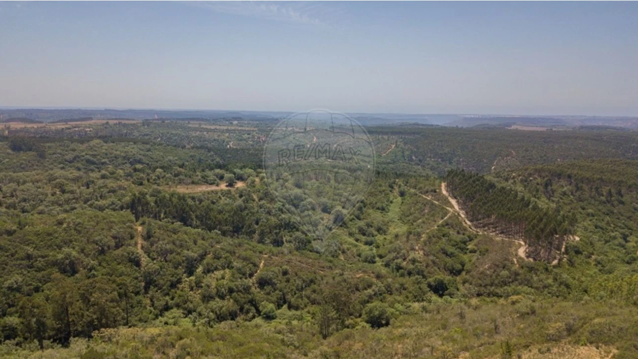 Terreno para Venda em São Teotónio Foto 6
